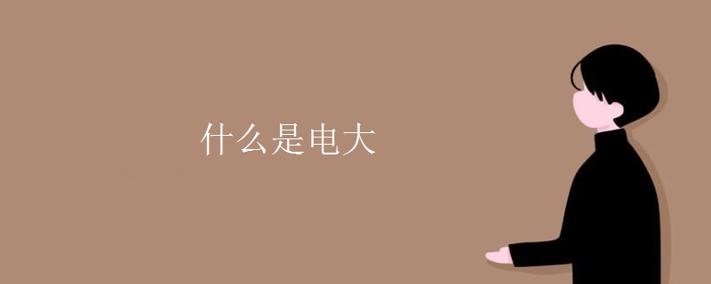 什么是电大