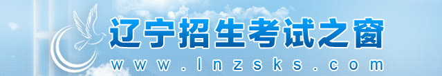2020年辽宁成考录取结果查询入口
