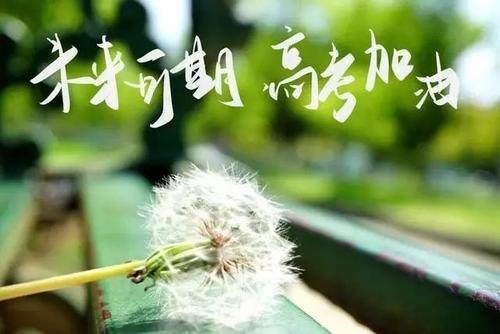 理科生学什么专业最好