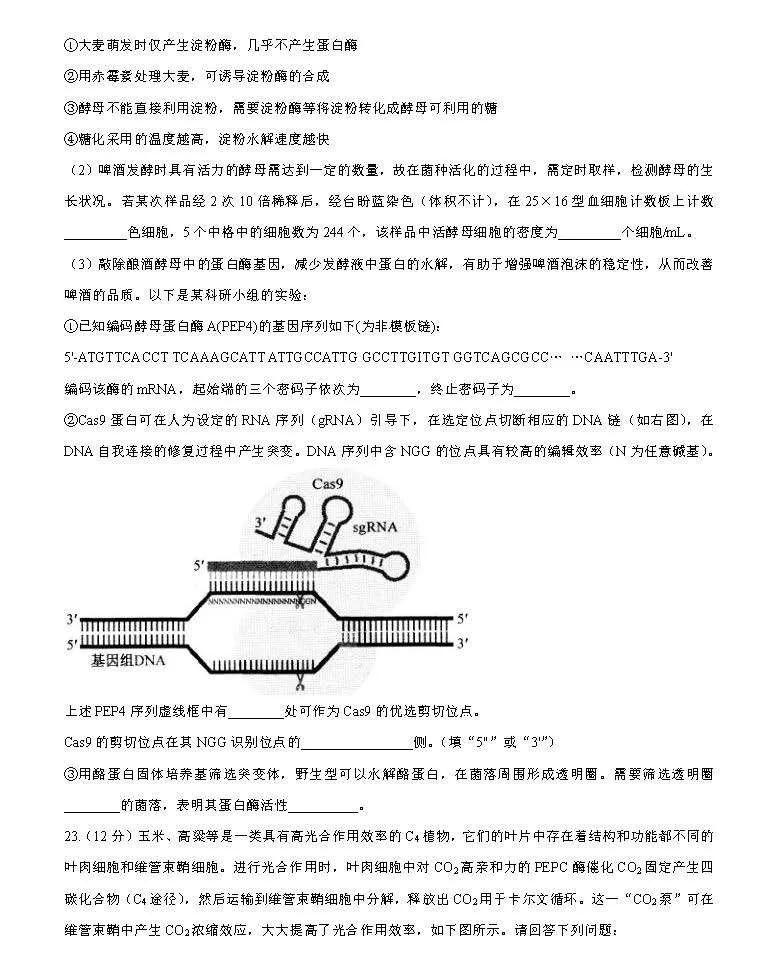 江苏2021新高考适应性考试生物答案