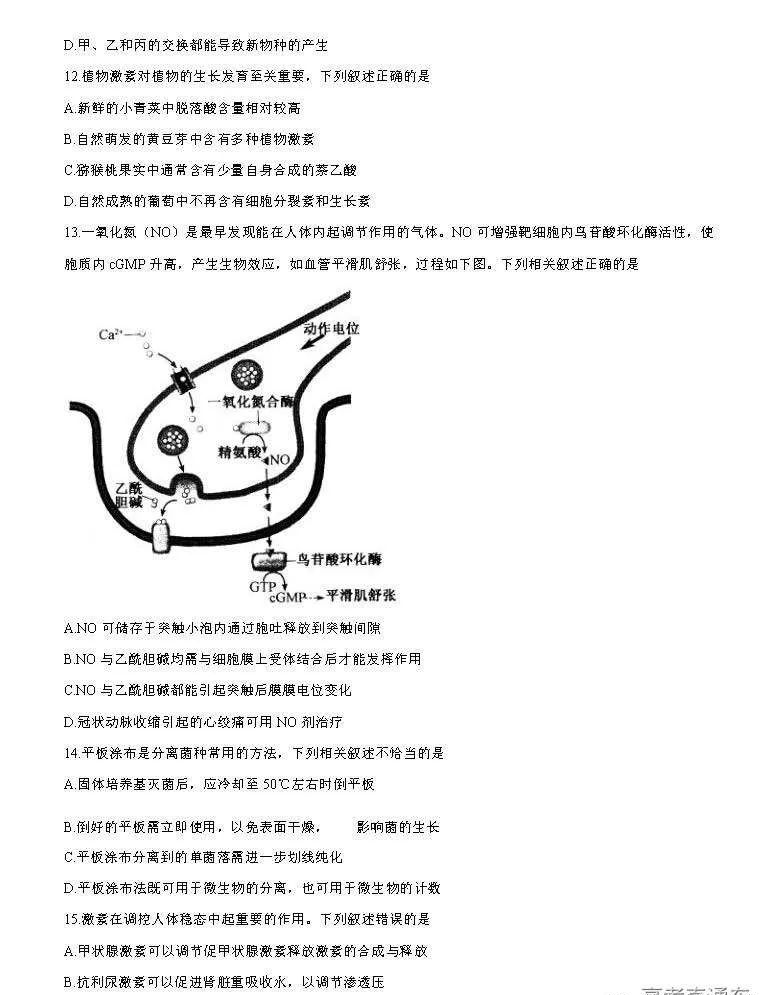 江苏2021新高考适应性考试生物答案