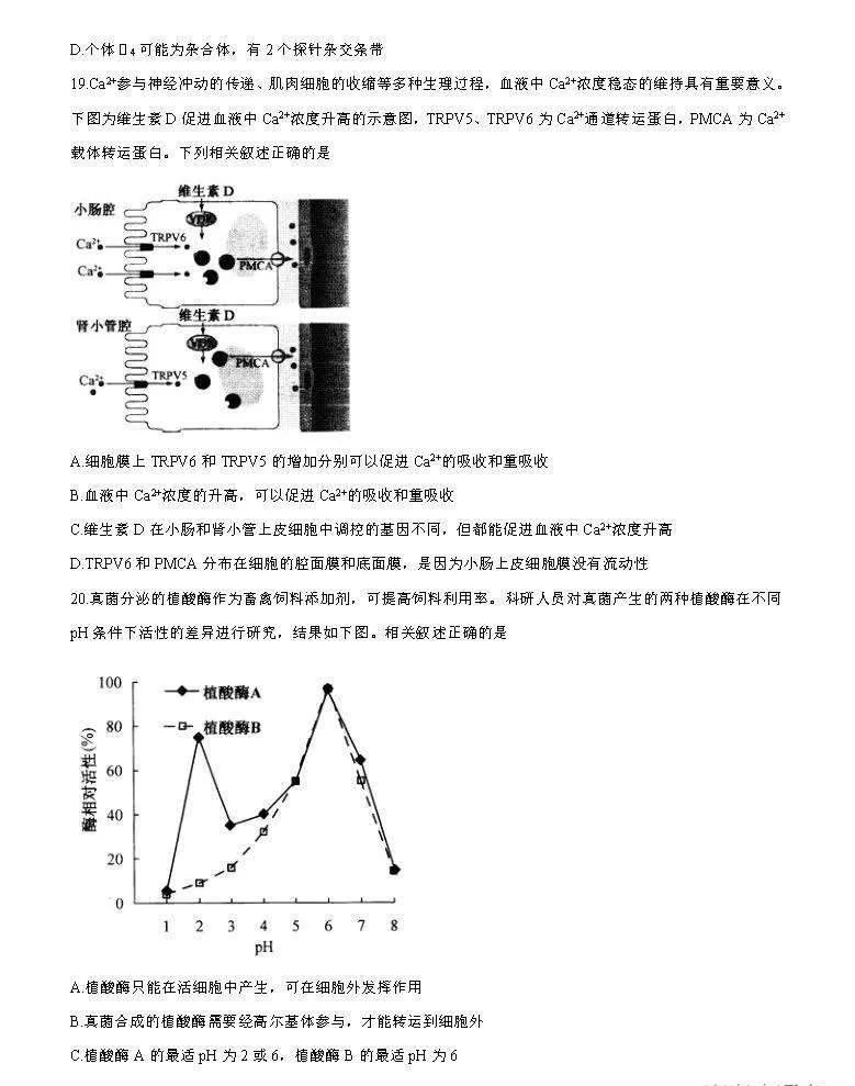 江苏2021新高考适应性考试生物答案