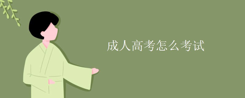 成人高考怎么考试