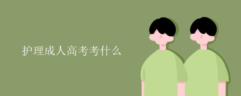 护理成人高考考什么