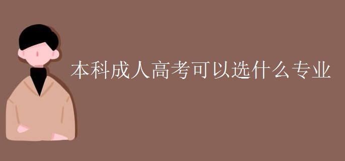 本科成人高考可以选什么专业