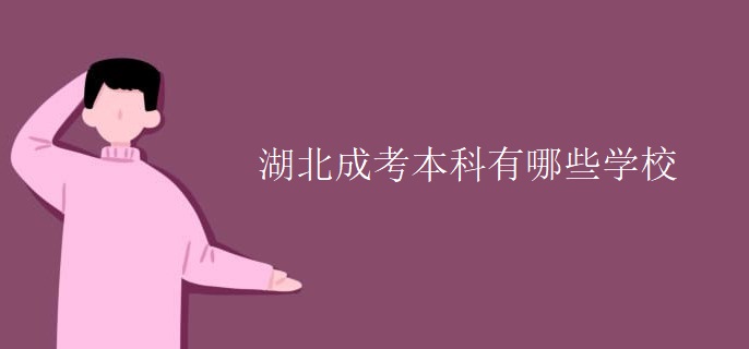 湖北成考本科有哪些学校