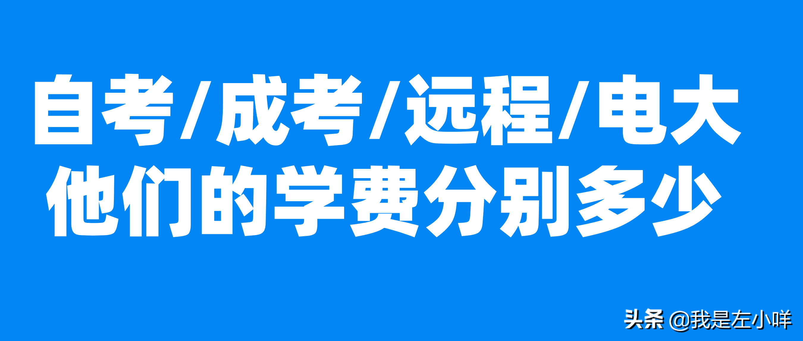 5年一共多少钱