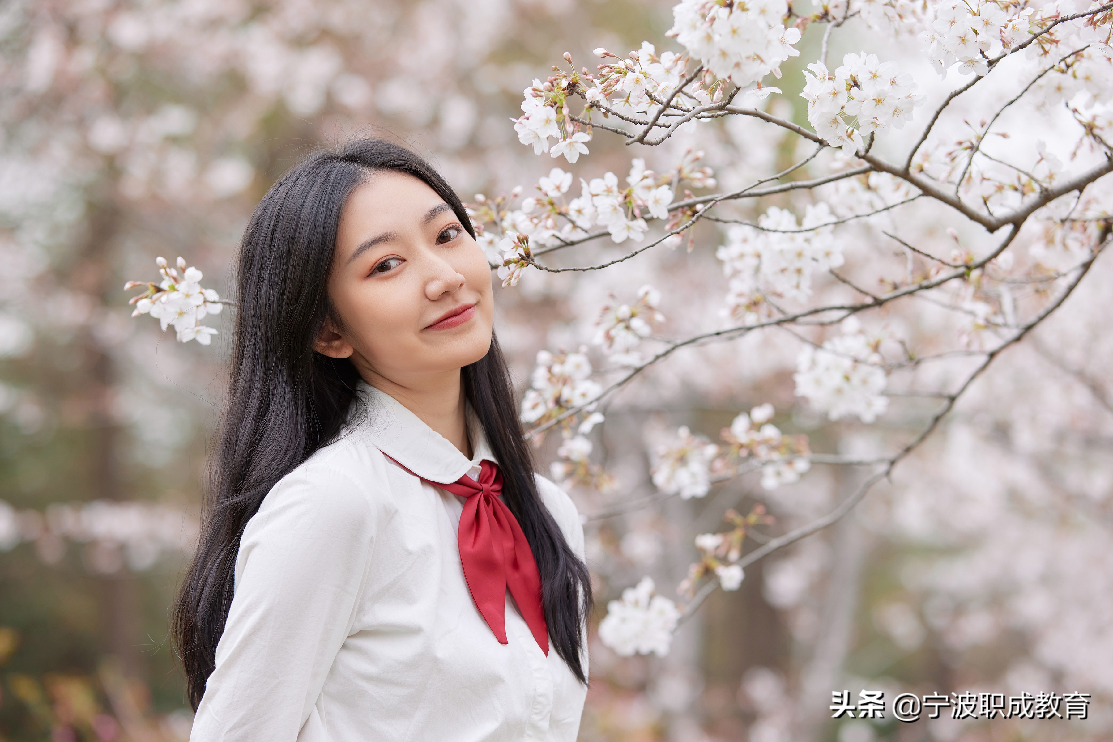 成考网报名系统