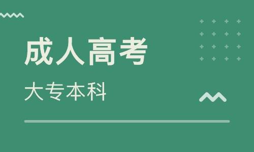 成人高考登录系统