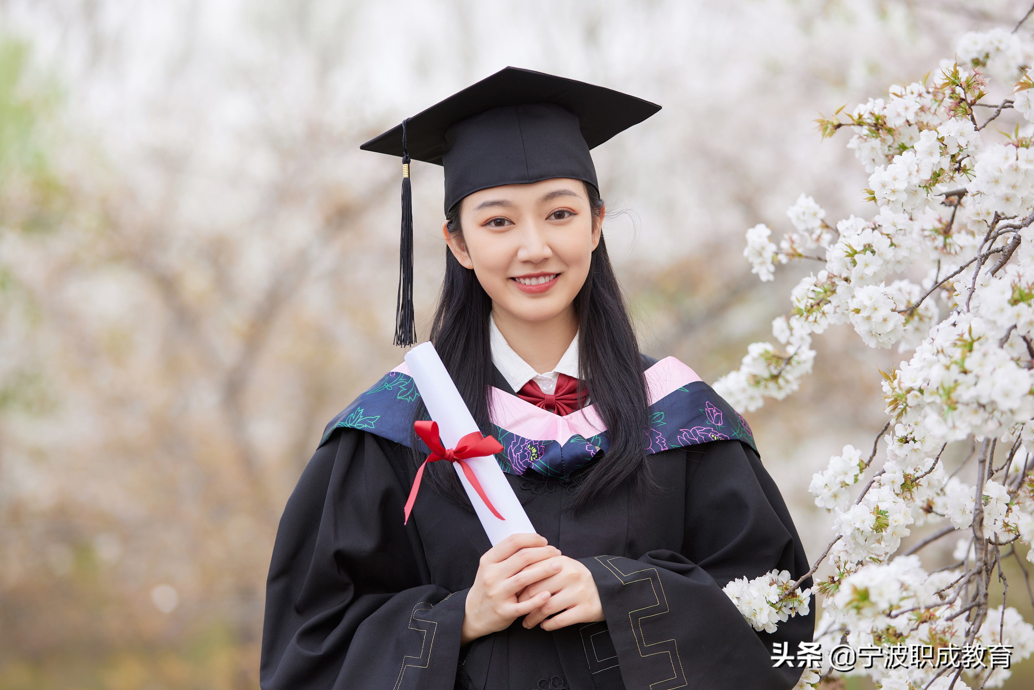 成考报名系统入口