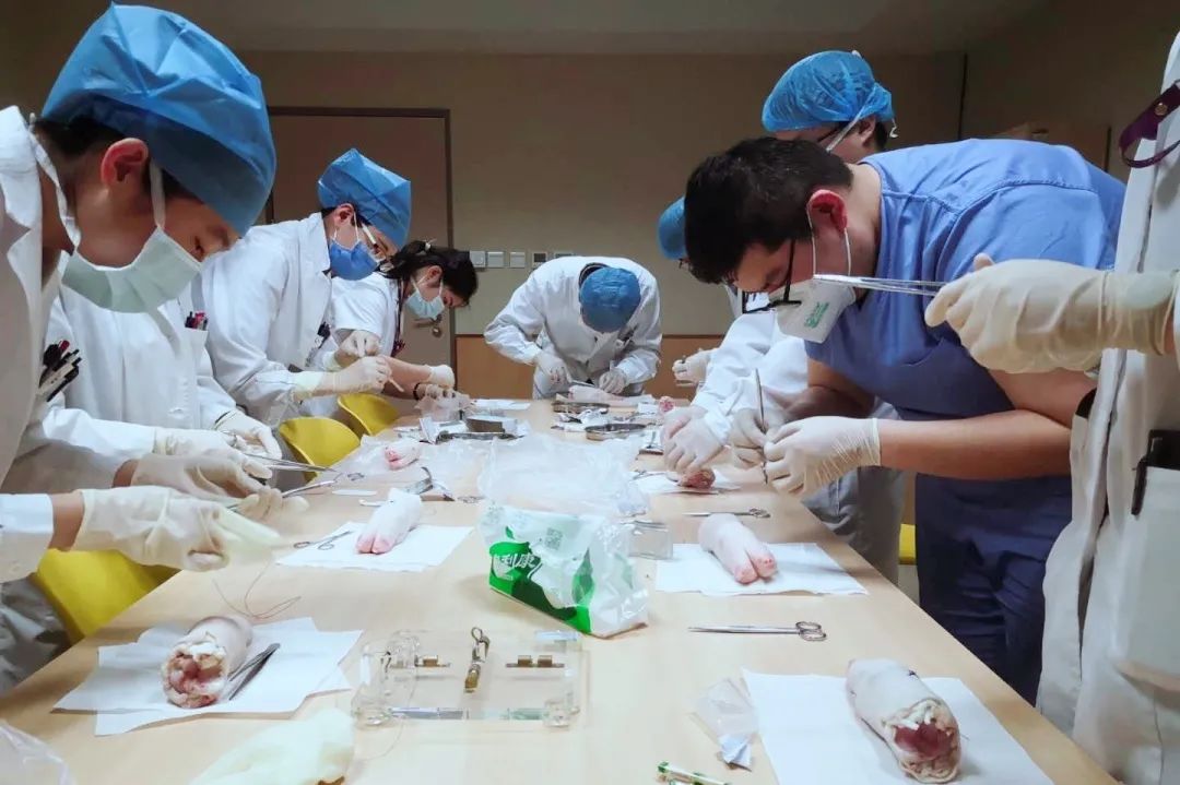北京成人自考教育官网