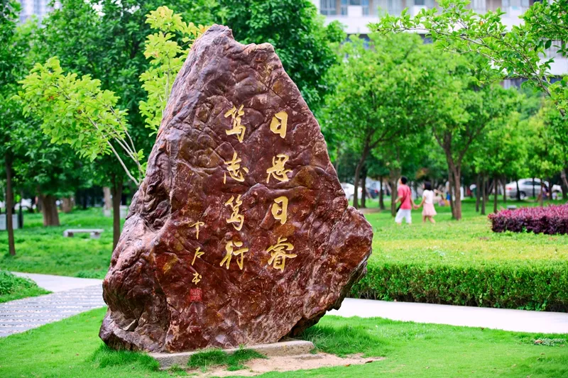 武汉大学成人继续教育学院官网