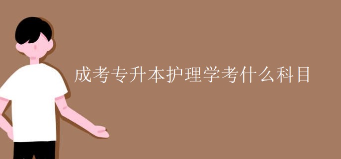 成考专升本护理学考什么科目