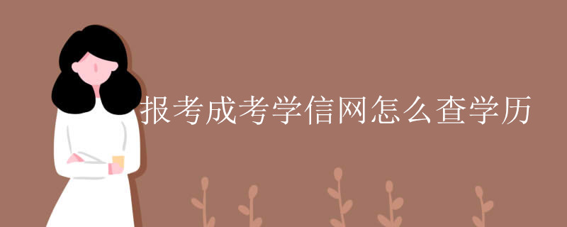 报考成考学信网怎么查学历