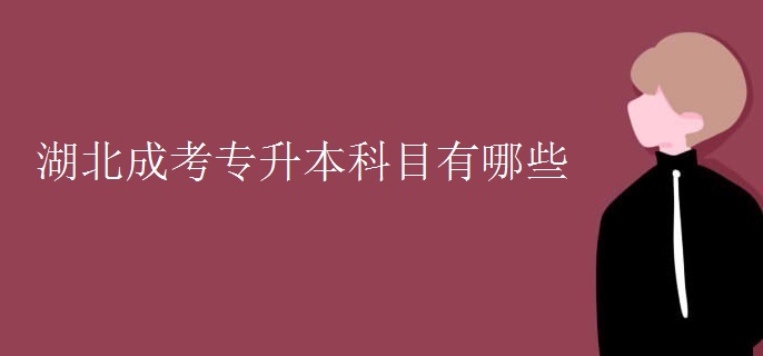 湖北成考专升本科目有哪些