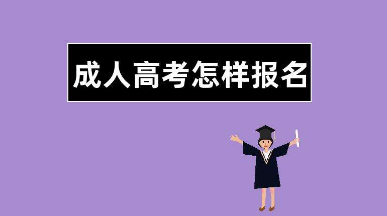 成人高考网上怎么报名 2022成考报名流程及办法