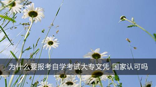 自学考试大专文凭怎么报名 2022自考流程是什么