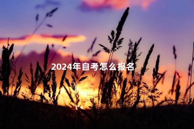 2024年自考怎么报名