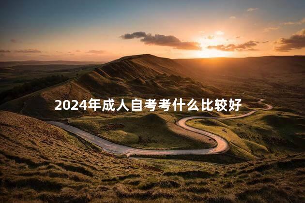 2024年成人自考考什么比较好